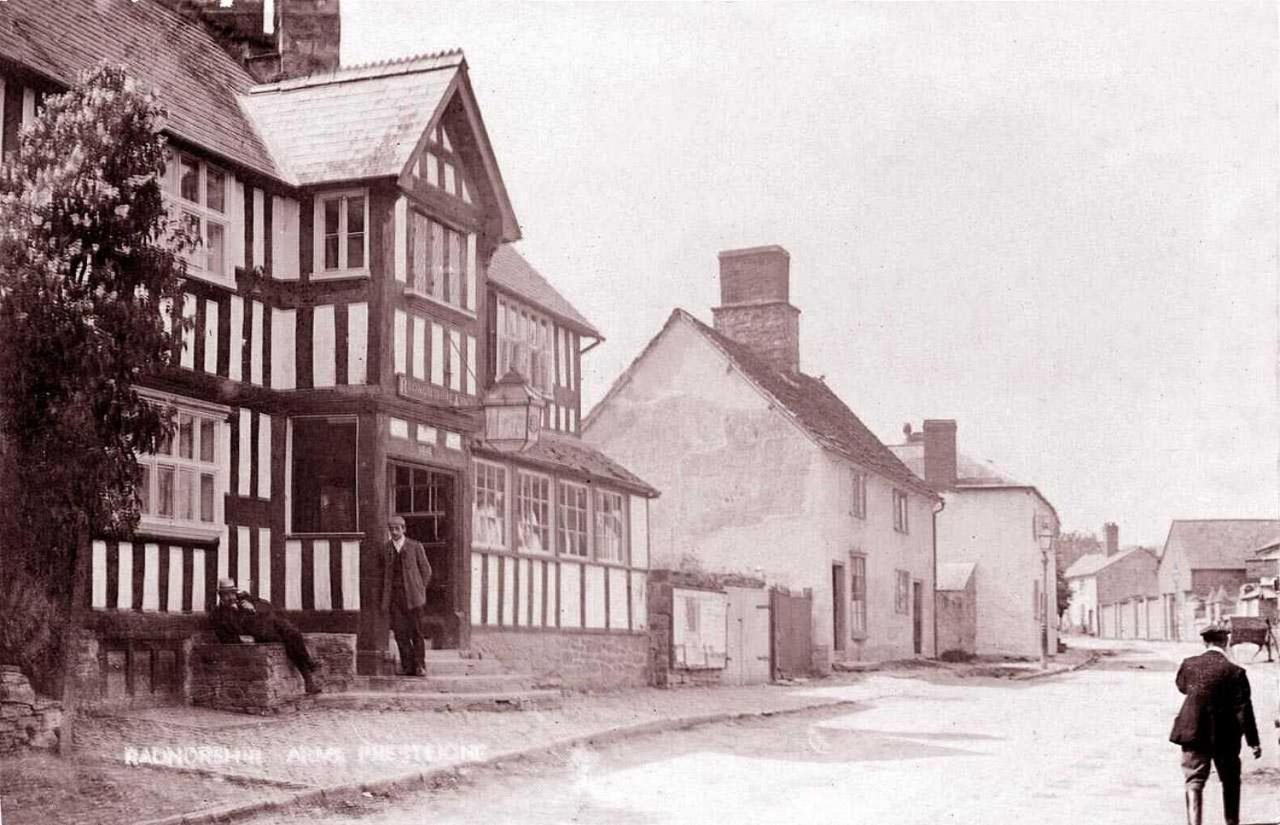 The Radnorshire Arms Hotel 普利斯提恩 外观 照片